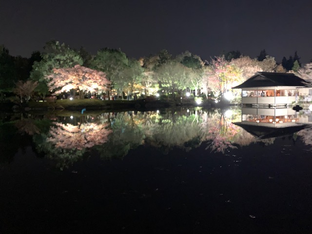 昭和記念公園、秋の夜散歩ライトアップ